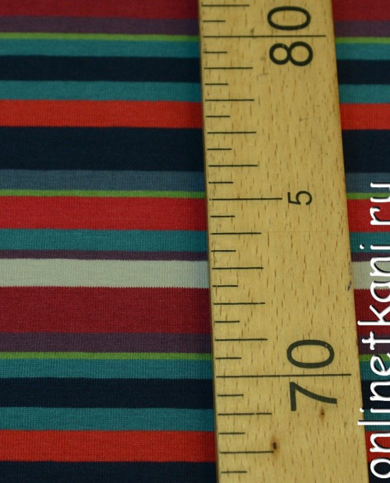 Ткань Трикотаж Чулок 0278 цвет разноцветный в полоску картинка 2