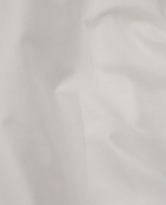 Ткань Хлопок Рубашечный 1865 цвет белый картинка 2