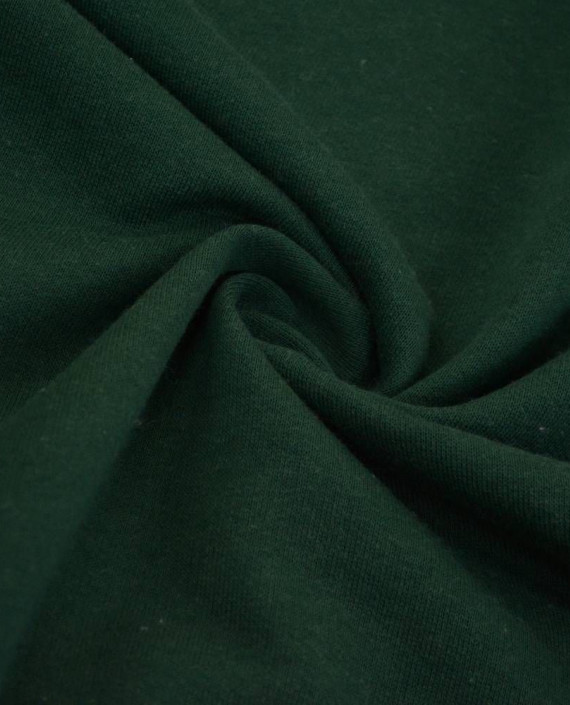 Ткань Трикотаж Футер Хлопковый 2250 цвет зеленый картинка