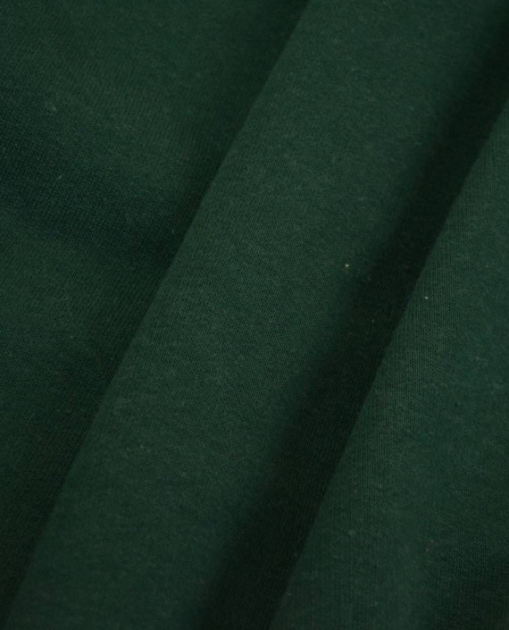 Ткань Трикотаж Футер Хлопковый 2250 цвет зеленый картинка 1