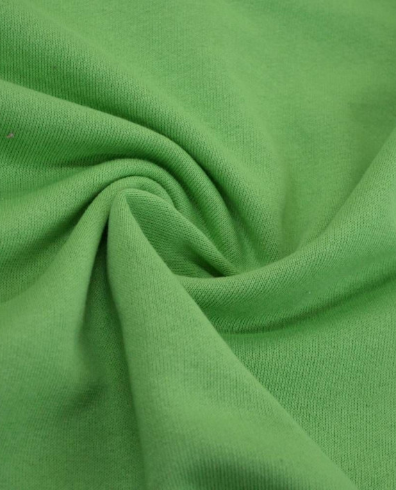 Ткань Трикотаж Футер 3-х нитка 2252 цвет зеленый картинка
