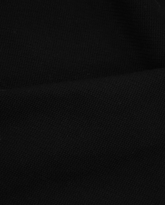 Трикотаж Плотный Хлопок 2446 цвет черный картинка 1