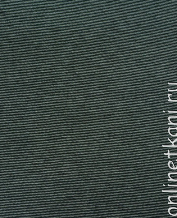 Ткань Трикотаж "Полосатый рейс" 0037 цвет серый картинка