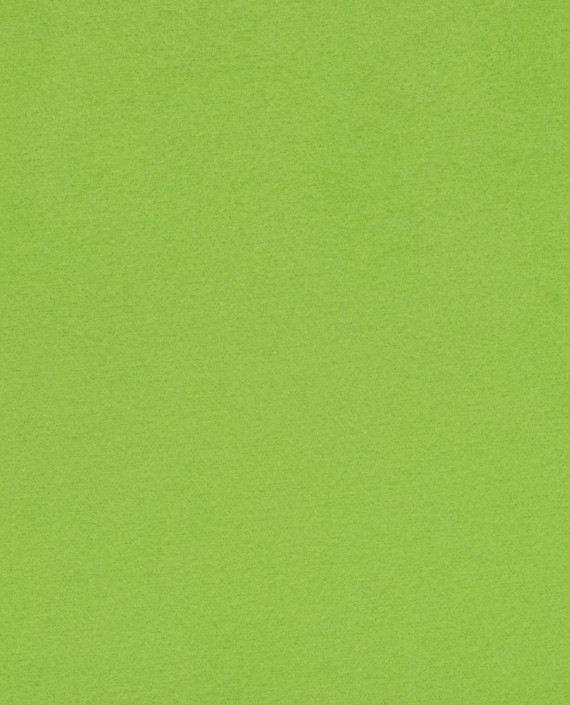 Пальтовая 2736 цвет зеленый картинка 2