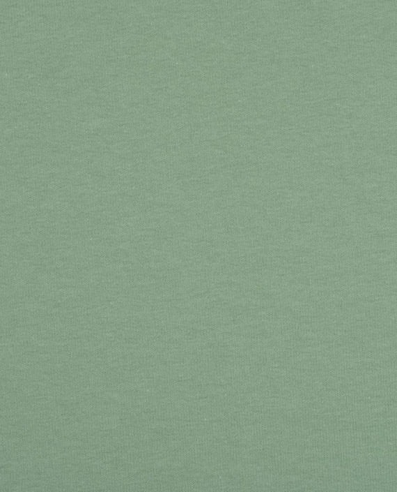 Футер 2-х нитка петля 3453 цвет зелёный картинка 2