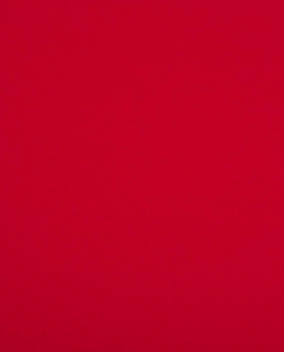 Трикотаж пике 3448 цвет красный картинка 2