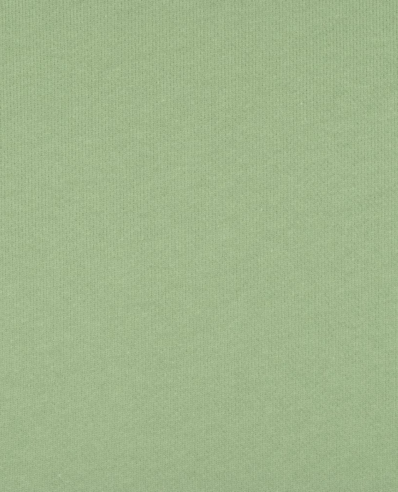 Трикотаж Футер 2-х нитка петля 410 цвет зеленый картинка 2