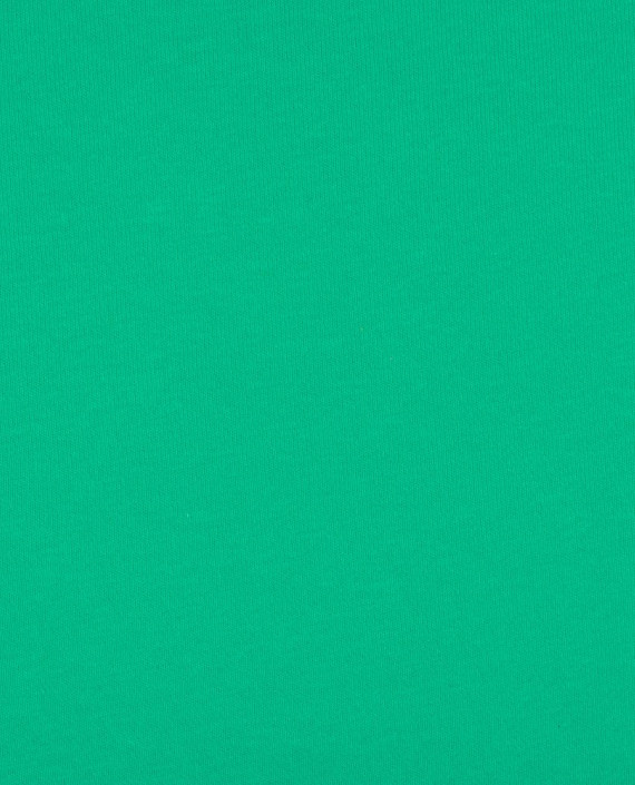 Трикотаж Футер 2-х нитка диагональ 403 цвет зеленый картинка 2