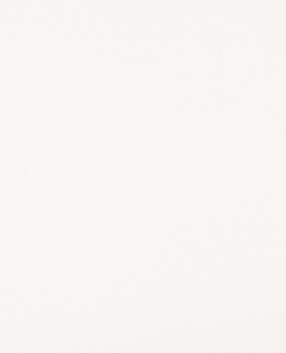 Трикотаж Футер 3-х нитка диагональ 422 цвет белый картинка 2