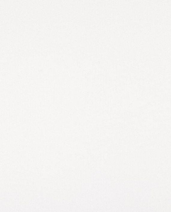 Трикотаж Футер 3-х нитка петля 429 цвет белый картинка 2