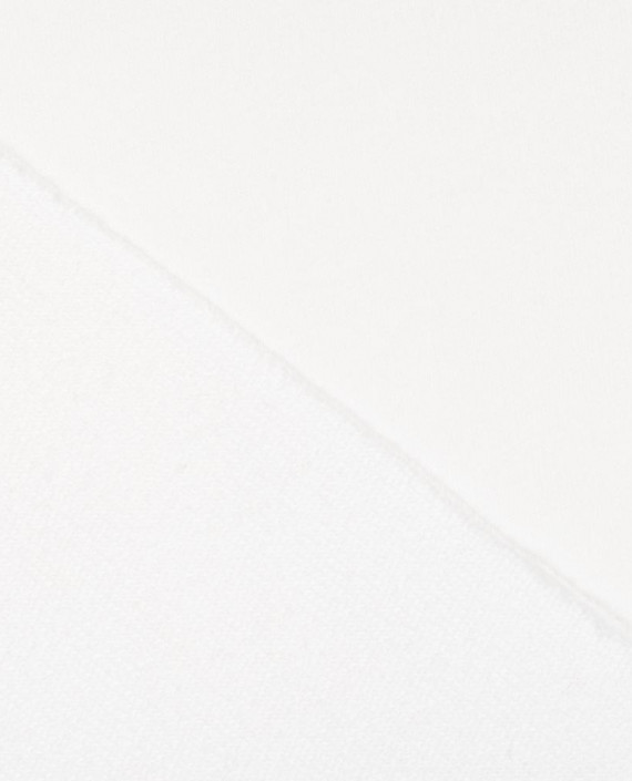 Трикотаж Футер 3-х нитка петля 429 цвет белый картинка 1