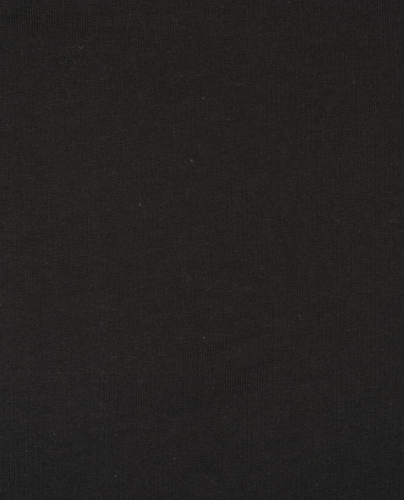 Трикотаж Футер 2-х нитка петля 411 цвет черный картинка 2