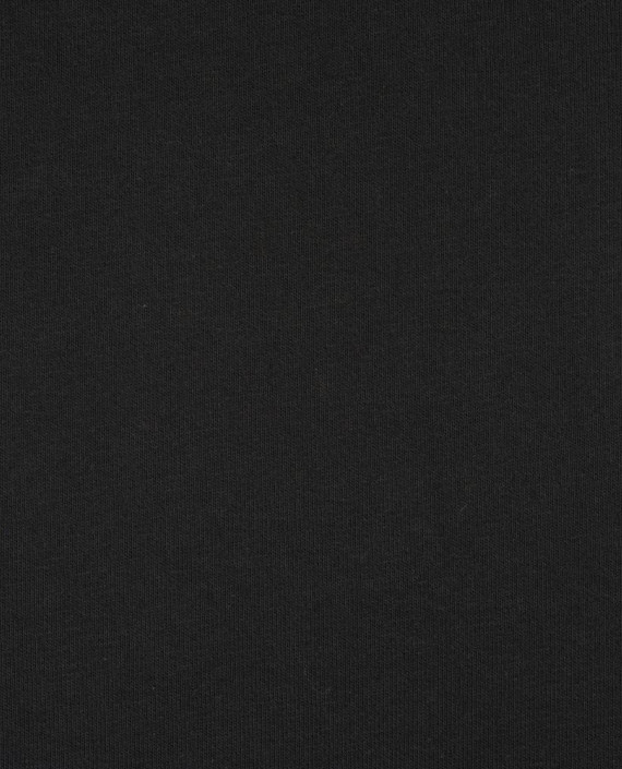 Трикотаж Футер 2-х нитка петля 412 цвет черный картинка 2