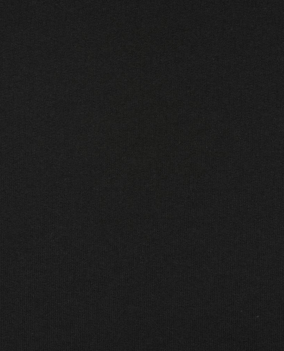 Трикотаж Футер 2-х нитка с начёсом 418 цвет черный картинка 2