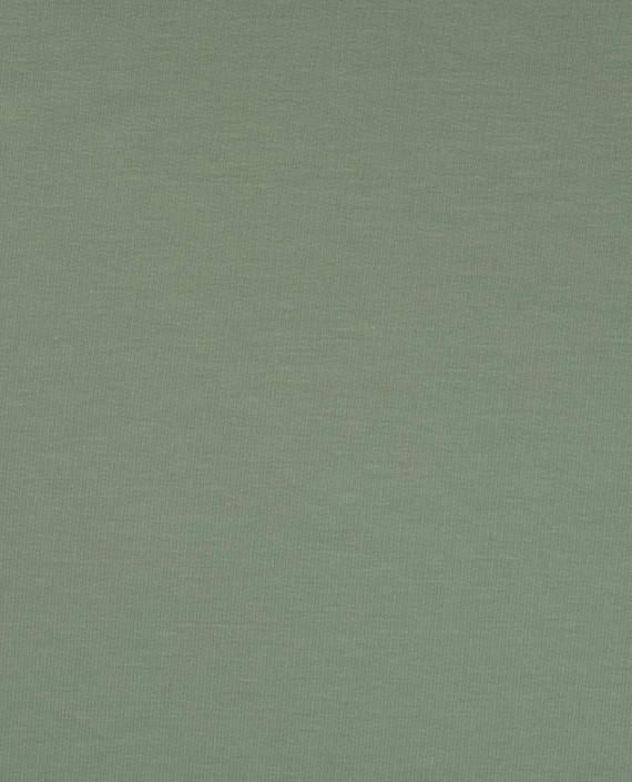 Трикотаж футер 2-х нитка 3787 цвет зеленый картинка 2