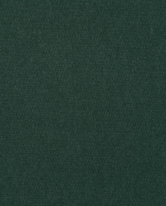 Футер 2-х нитка с начесом ЧУЛОК 3791 цвет зеленый картинка 2