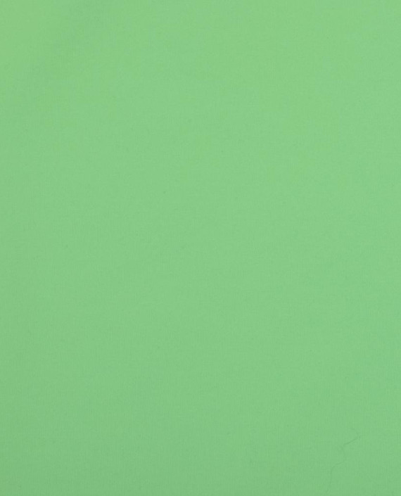 Трикотаж BRUGNOLI с начесом 3810 цвет зеленый картинка 2