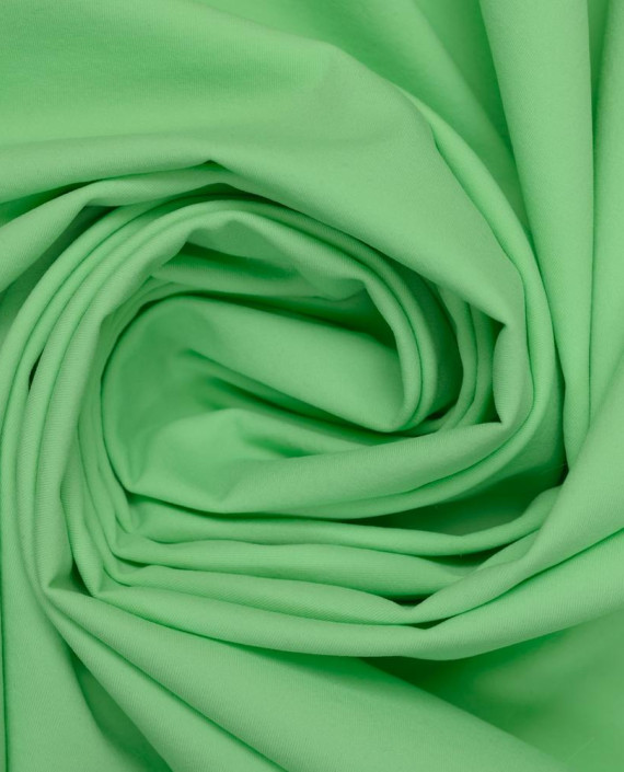 Трикотаж BRUGNOLI с начесом 3810 цвет зеленый картинка