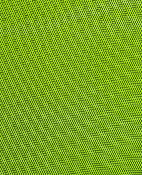 Ткань Неопрен Сетчатый 161 цвет зеленый картинка 1