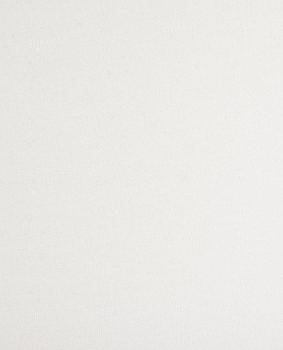 Трикотаж футер 2-х нитка петля 3885 цвет белый картинка 2